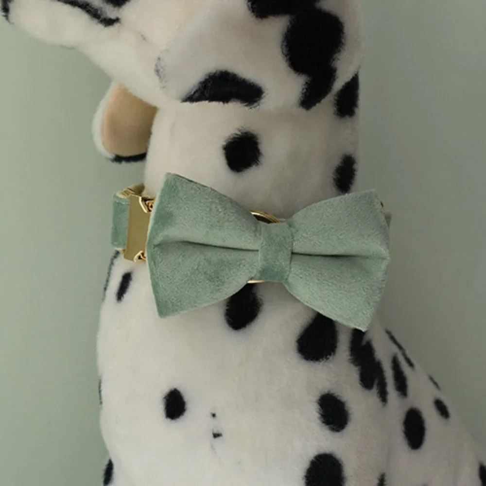 The Luxury Dog/Cat Set with Leash, Bow Tie, and Leash